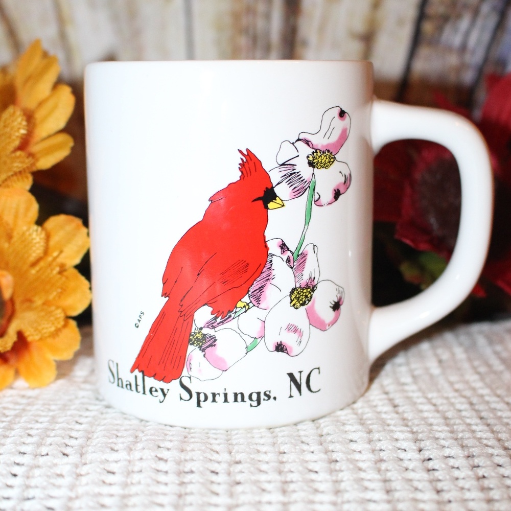 Vintage Shatley Springs North Carolina Mug